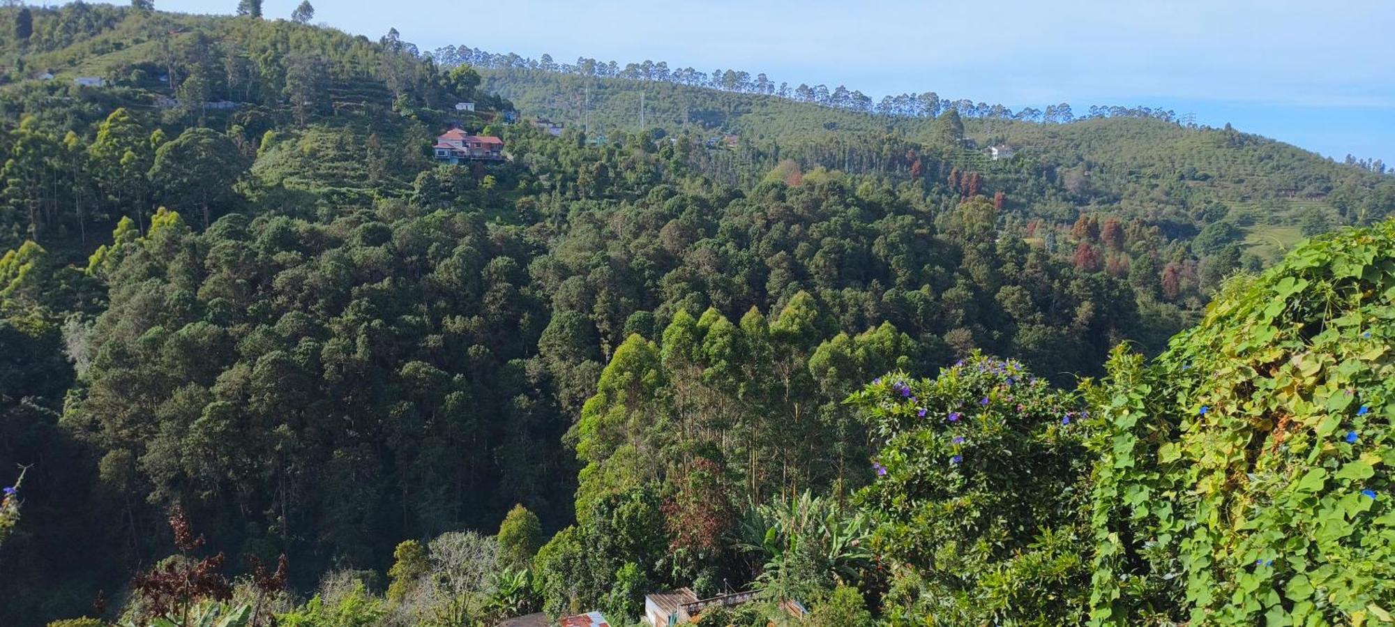 Highland Heaven Hotell Kodaikanal Eksteriør bilde